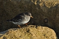 22 01 15_0910_edited-1